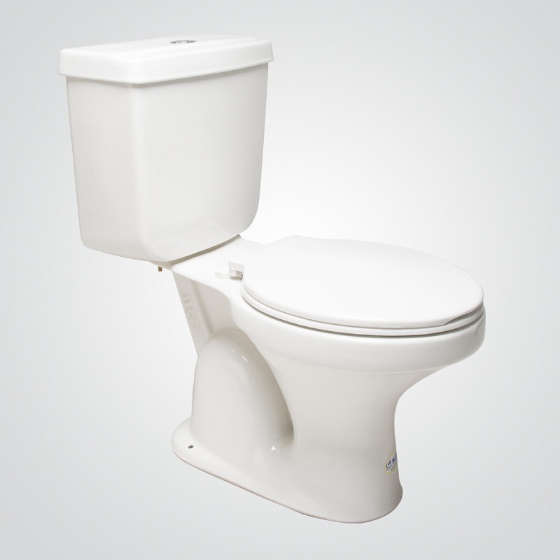 Conjunto WC valencia premium dual flush al piso
