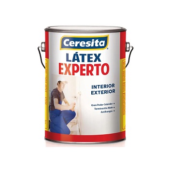 Latex experto