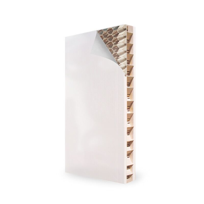 Panel Gyplac 60MM 120X240 BR Panel Gyplac 60MM 120X240 BR