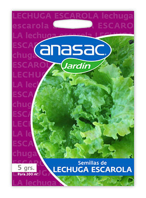 Semilla Lechuga Escarola 5 grs